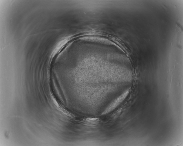 X0000102780055200809021101