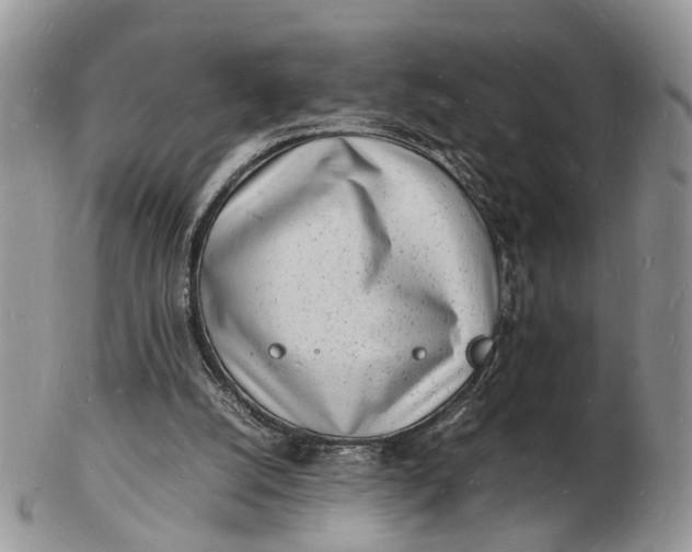 X0000102780056200809021101