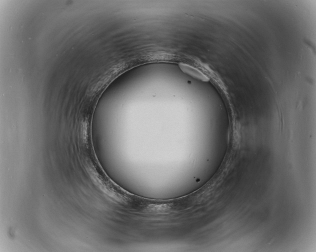 X0000102780057200809021101