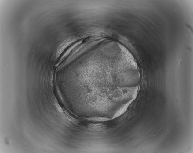 X0000102780058200809021101