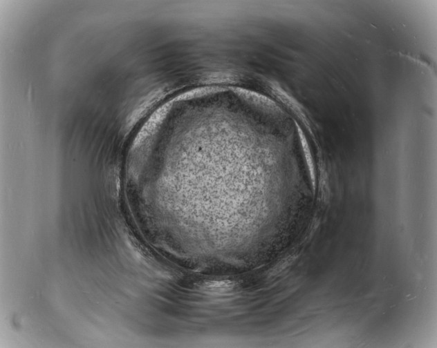 X0000102780059200809021101