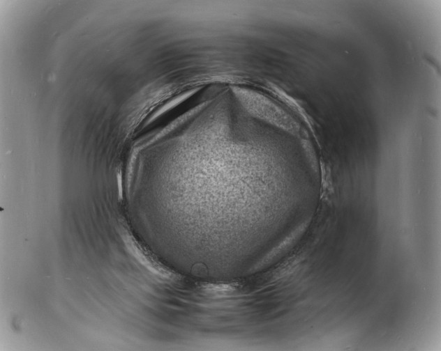 X0000102780061200809021101