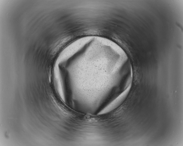 X0000102780062200809021101