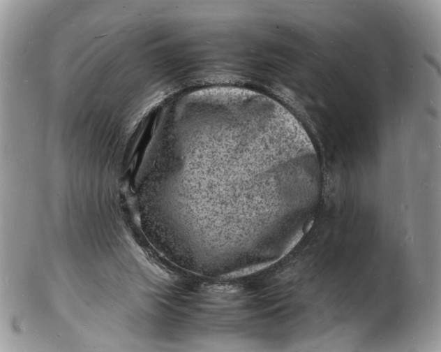 X0000102780063200809021101