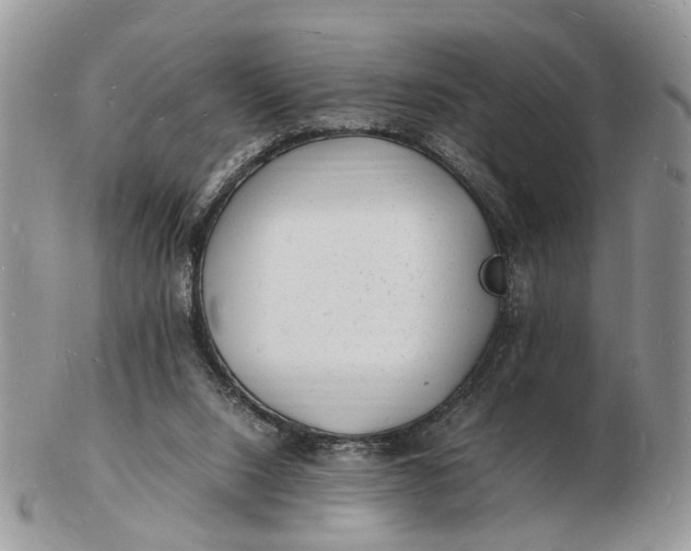 X0000102780064200809021101