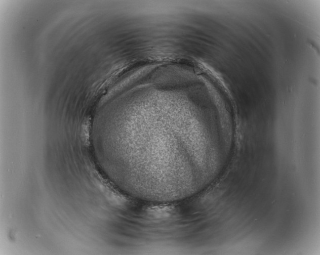 X0000102780065200809021101