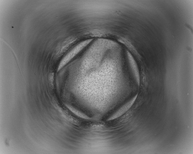 X0000102780066200809021101