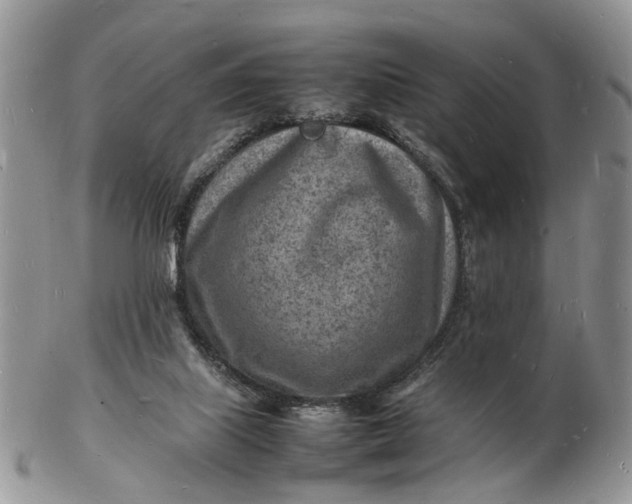 X0000102780067200809021101