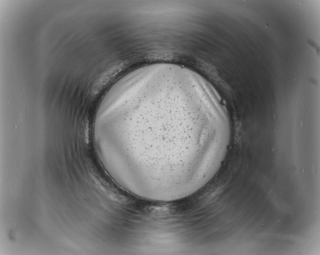 X0000102780068200809021101