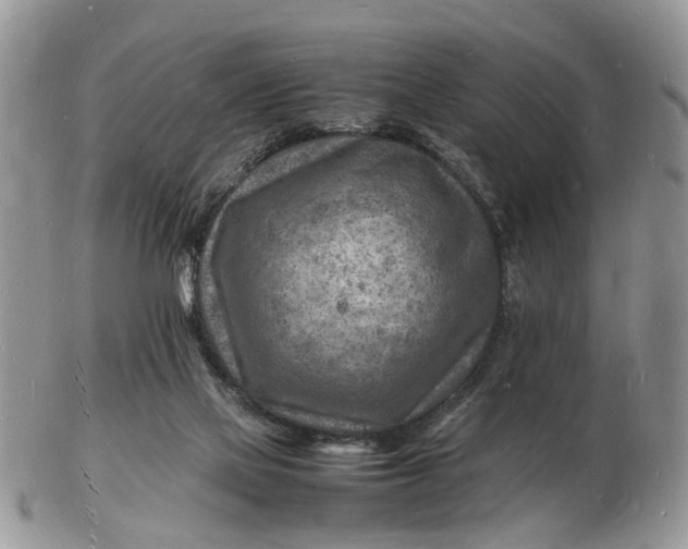 X0000102780069200809021101