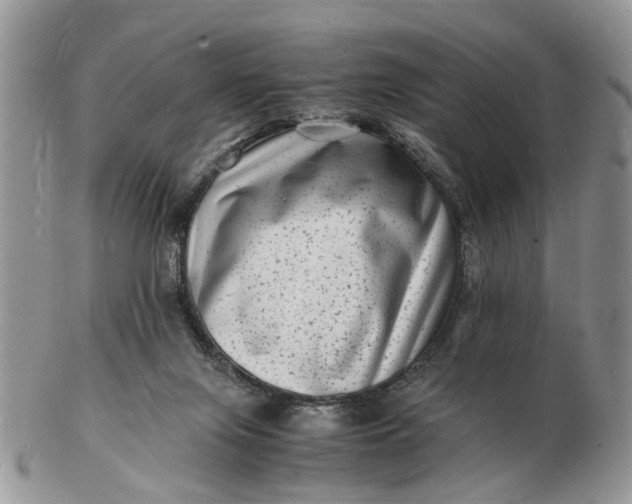 X0000102780071200809021101