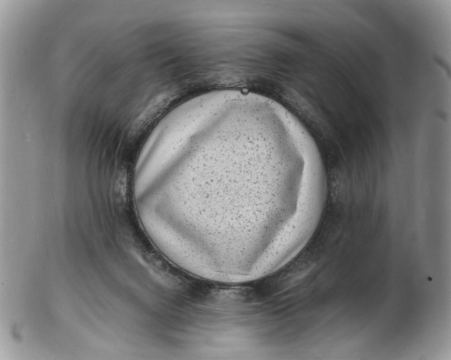 X0000102780072200809021101