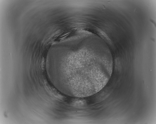 X0000102780073200809021101