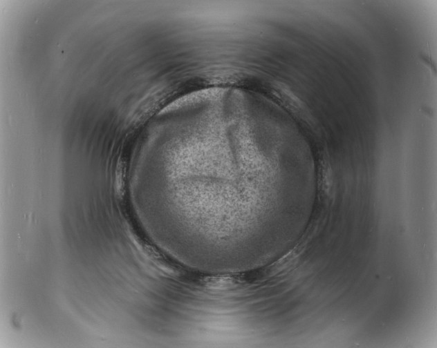 X0000102780074200809021102