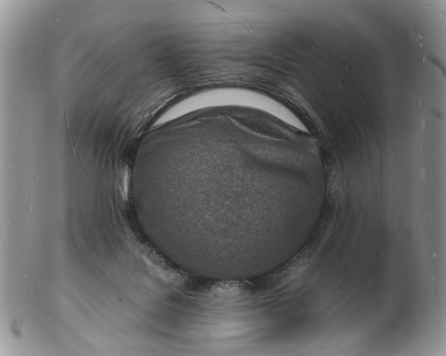 X0000102780076200809021102