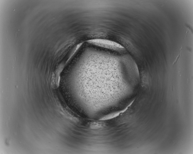 X0000102780077200809021102