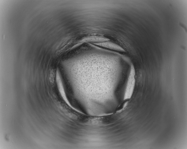 X0000102780078200809021102