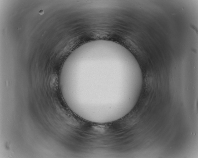 X0000102780079200809021102