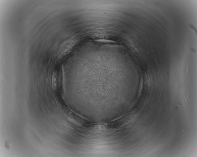 X0000102780080200809021102