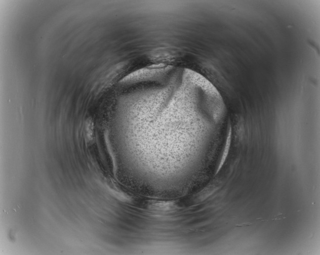 X0000102780081200809021102