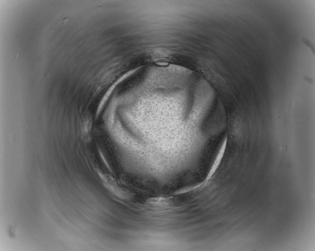 X0000102780082200809021102