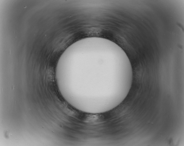 X0000102780083200809021102