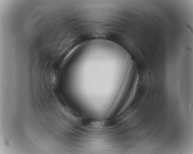 X0000102780084200809021102