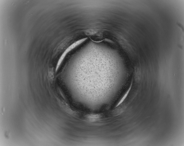 X0000102780085200809021102