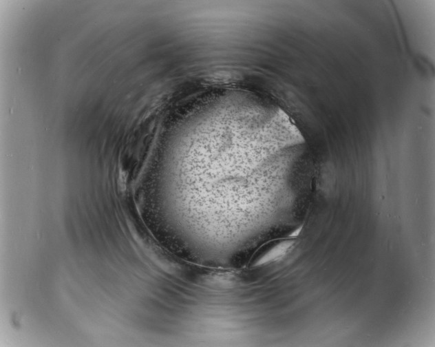 X0000102780086200809021102