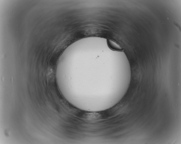 X0000102780087200809021102