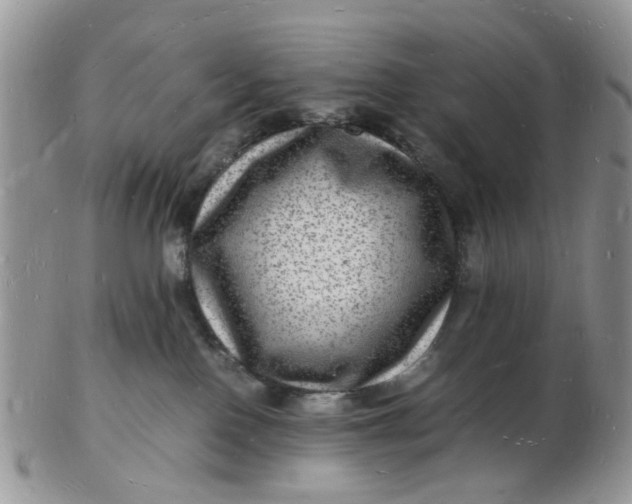 X0000102780090200809021102