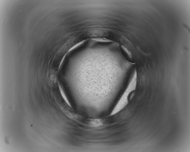 X0000102780091200809021102