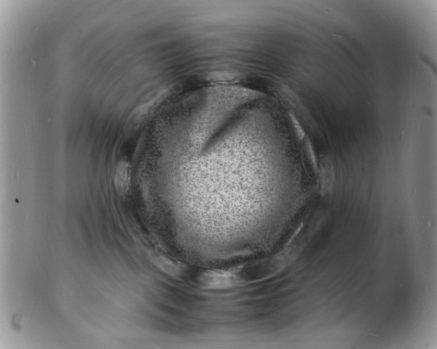 X0000102780093200809021102