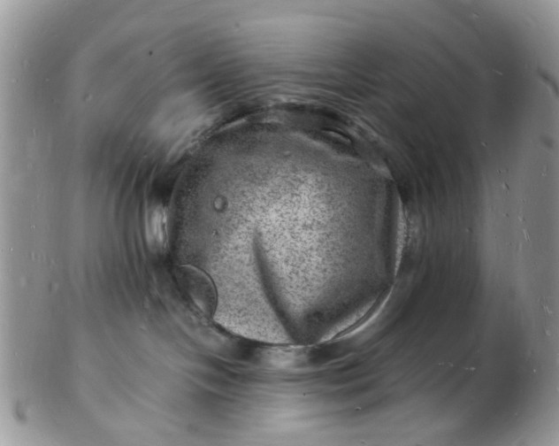 X0000102780094200809021102