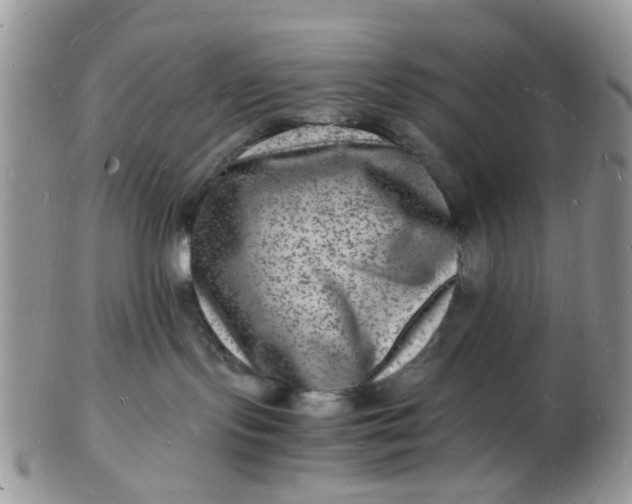 X0000102780095200809021102