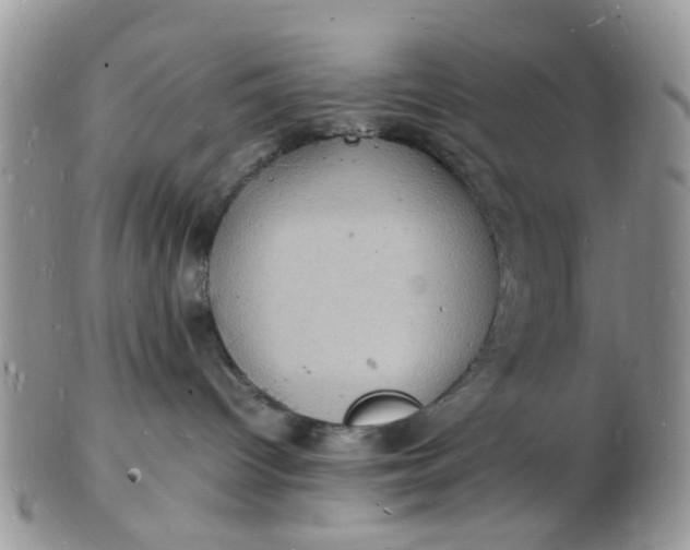 X0000102780096200809021102