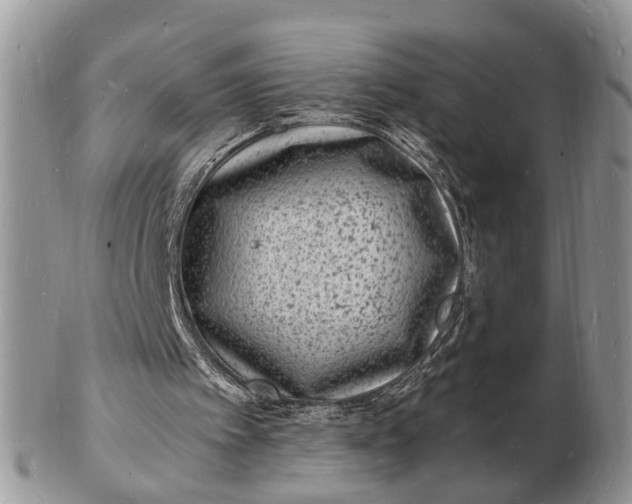 X0000102780097200809021101