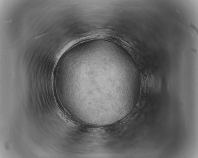 X0000102780100200809021101