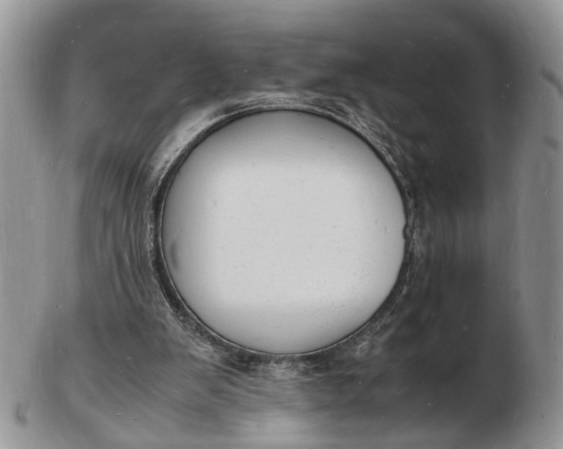 X0000102780103200809021101