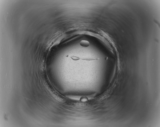 X0000102780105200809021101