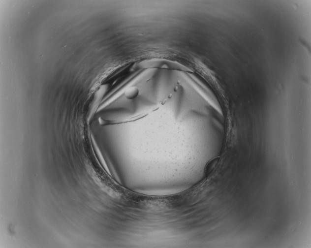 X0000102780106200809021101