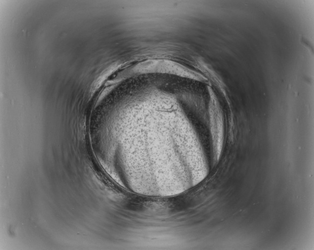 X0000102780107200809021101