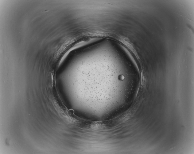 X0000102780109200809021101