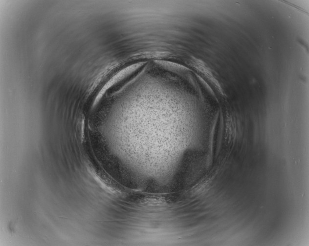 X0000102780110200809021101