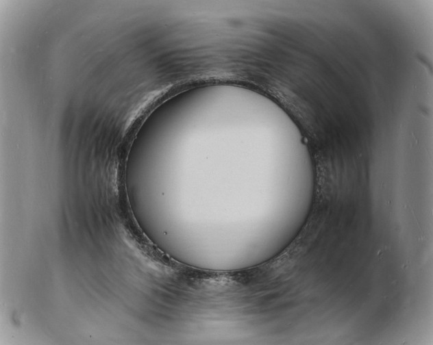 X0000102780112200809021101