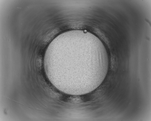 X0000102780113200809021101