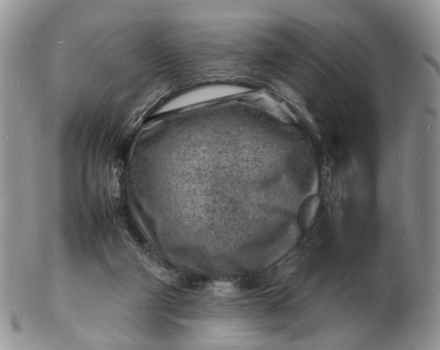 X0000102780114200809021101