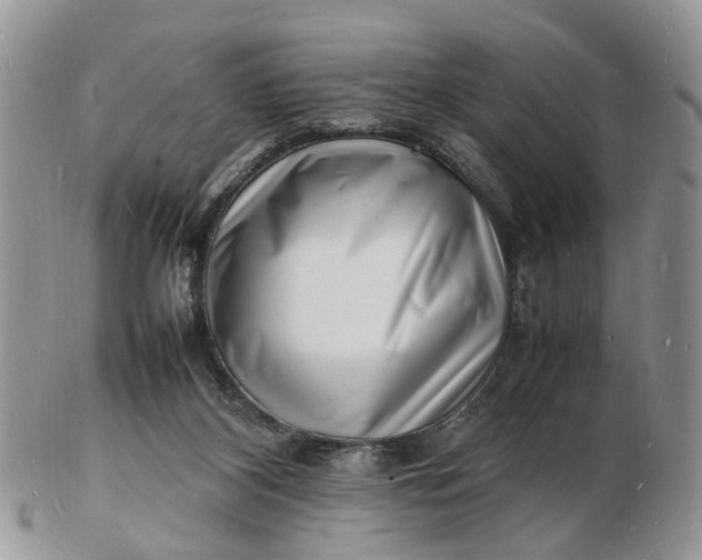 X0000102780116200809021101