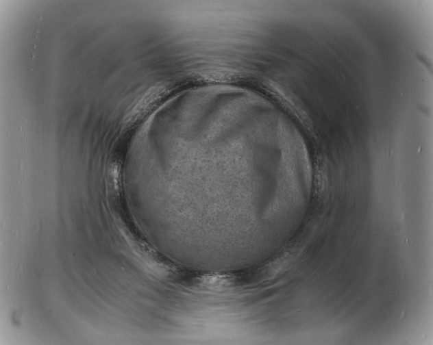 X0000102780117200809021101