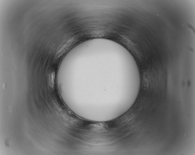 X0000102780118200809021101